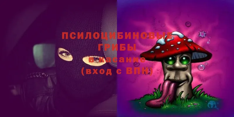 Псилоцибиновые грибы MAGIC MUSHROOMS  закладка  Алзамай 